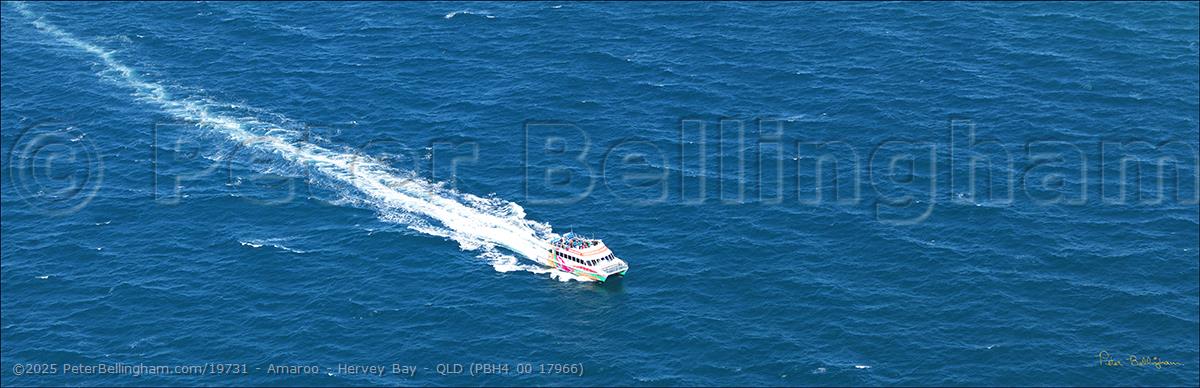 Peter Bellingham Photography Amaroo - Hervey Bay - QLD (PBH4 00 17966)